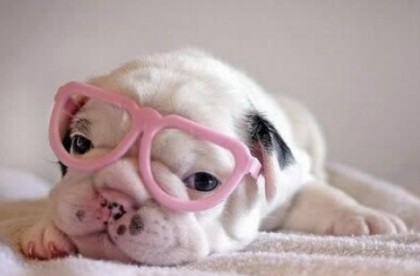 超搞笑说说：像你这么优雅的人，平时都不拉屎吧！