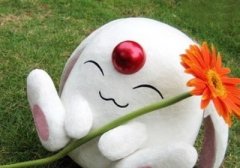 好玩的心情短语：学校你得到了我的肉体，可你。