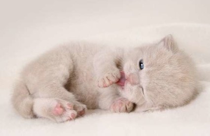 搞笑的心情短语:女人是麻烦,男人就喜欢自找麻烦