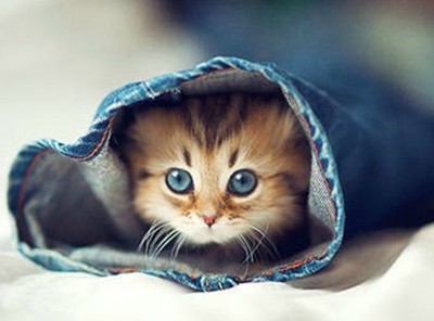 很有内涵的说说：在最深的绝望里，遇见最美丽的风景1