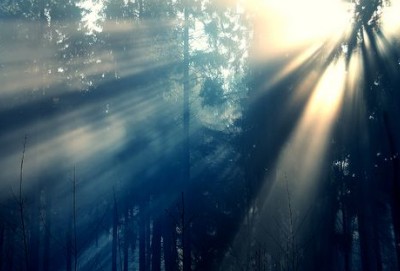 哲理说说大全：生命中再无聊的时光，也是限量版